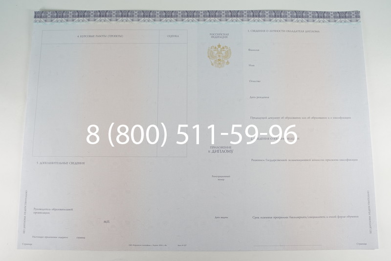 Диплом бакалавра (Киржач) 2014-2024 года в Мурманске Диплом бакалавра (Киржач) 2014-2024 года в Мурманске