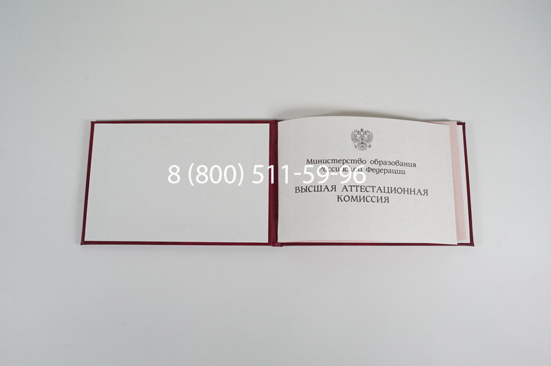 Диплом доктора наук 1995-2006 года в Мурманске