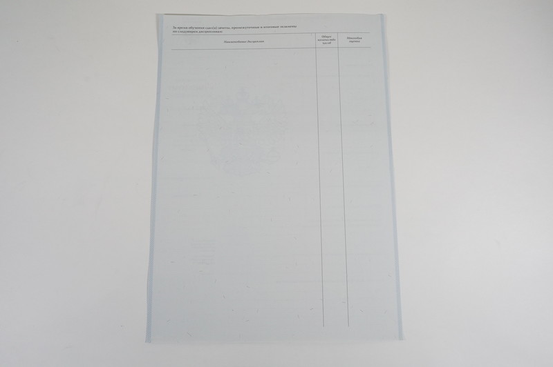 Диплом о начальном образовании 2007-2009 годов в Мурманске Диплом о начальном образовании 2007-2009 годов в Мурманске