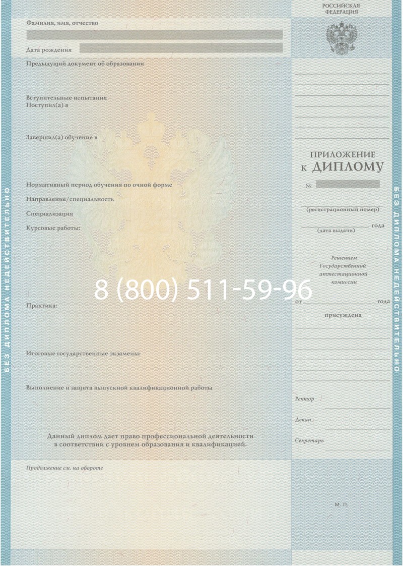 Заказать Диплом специалиста 2010-2011 годов в Мурманске